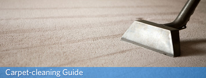 carpetCleaningGuide